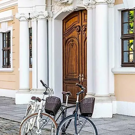 Taschenbergpalais Kempinski 5* דרזדן